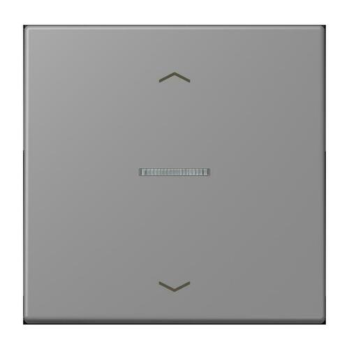 Jung Wippe mit Lichtleiter gris 31 LC 101 KO5P 203
