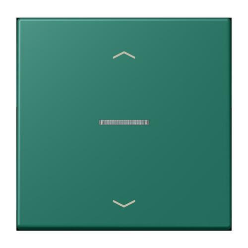 Jung Wippe mit Lichtleiter vert anglais LC 101 KO5P 216