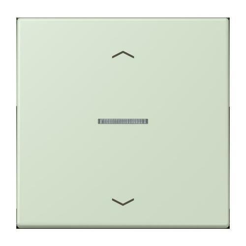 Jung Wippe mit Lichtleiter vert anglais pale LC 101 KO5P 218