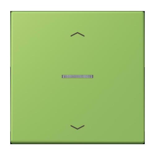 Jung Wippe mit Lichtleiter vert 31 LC 101 KO5P 220