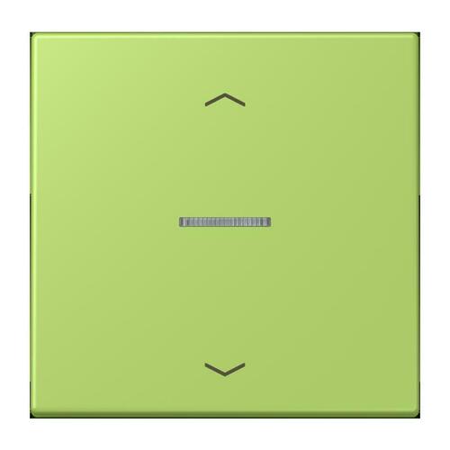Jung Wippe mit Lichtleiter vert clair LC 101 KO5P 221
