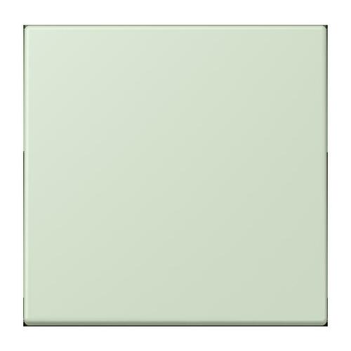 Jung Wippe für Taster 1-fach ch vert anglais pale LC 101 218
