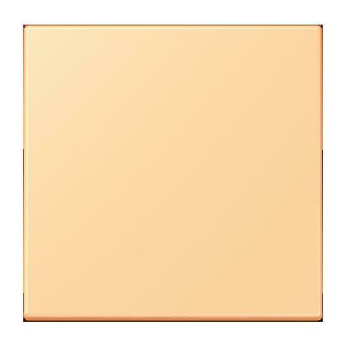 Jung Wippe für Taster 1-fach ch LC 101 258