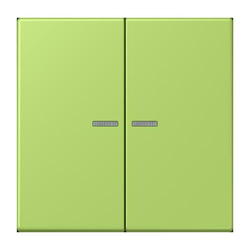 Jung Wippe mit Lichtleiter vert clair LC 102 KO5 221