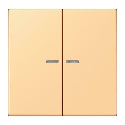 Jung Wippe mit Lichtleiter LC 102 KO5 258