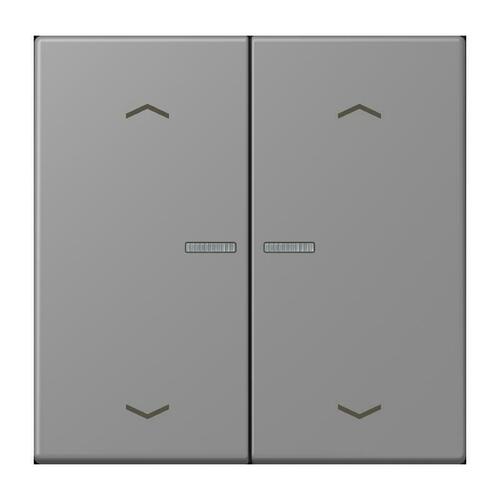 Jung Wippe mit Lichtleiter gris 31 LC 102 KO5P 203