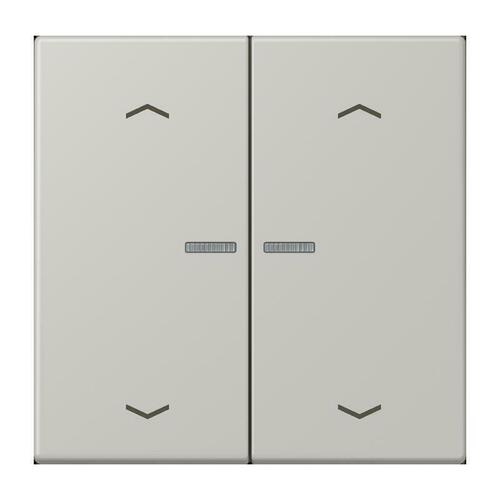 Jung Wippe mit Lichtleiter gris clair 31 LC 102 KO5P 205