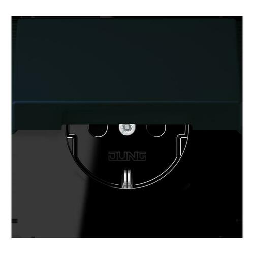 Jung SCHUKO Steckdose noir divoire (4320E) LC 1520 BFKIKL 248