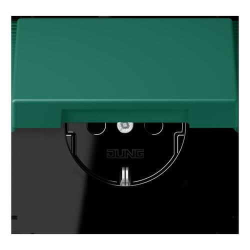 Jung SCHUKO Steckdose vert anglais (32040) LC 1520 BFKL 216