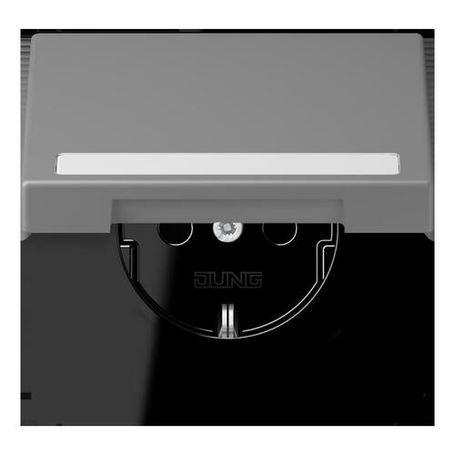 Jung SCHUKO Steckdose gris 31 (32011) LC 1520 NBFKL 203