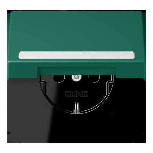 Jung SCHUKO Steckdose vert anglais (32040) LC 1520 NBFKL 216