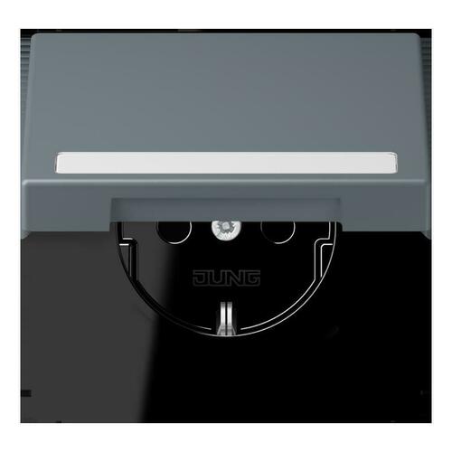 Jung SCHUKO Steckdose gris 59 (4320H) LC 1520 NBFKL 251