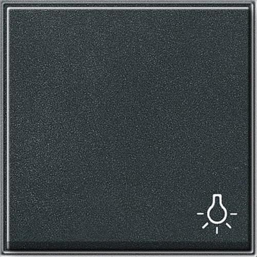 Gira Wippe Licht anthrazit TX44 028567