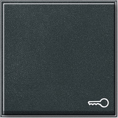 Gira Wippe Tür anthrazit TX44 028767
