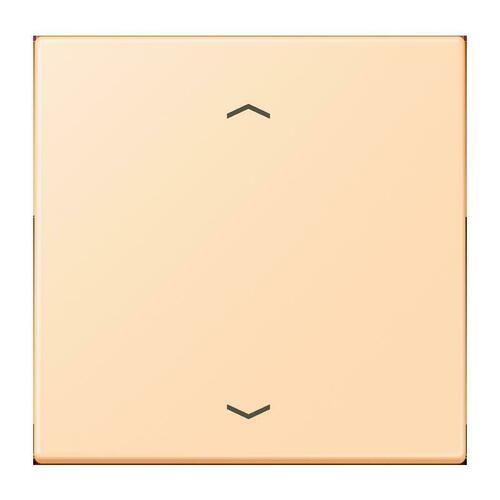 Jung LB-Management Taster 1-fach ch ocre LC 1700 P 223 Jung LB-Management Taster 1-fach ch ocre LC 1700 P 223