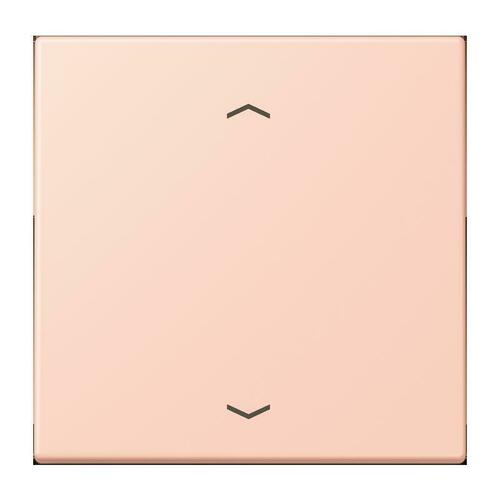 Jung LB-Management Taster 1-fach ch locre rouge clair LC 1700 P 234 Jung LB-Management Taster 1-fach ch locre rouge clair LC 1700 P 234