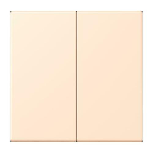 Jung LB-Management Taster 2-fach ch terre sienne pale LC 1702 238 Jung LB-Management Taster 2-fach ch terre sienne pale LC 1702 238