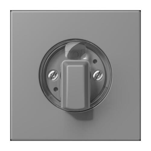 Jung Abdeckung für Drehschalter gris 31 LC 1941 203