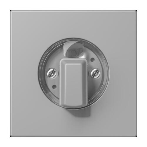 Jung Abdeckung für Drehschalter gris moyen LC 1941 204