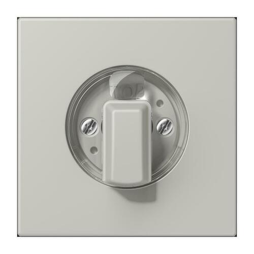 Jung Abdeckung für Drehschalter gris clair 31 LC 1941 205