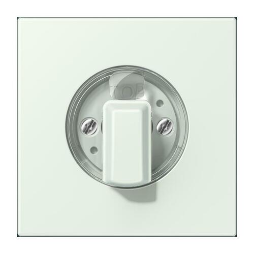 Jung Abdeckung für Drehschalter outremer gris LC 1941 210