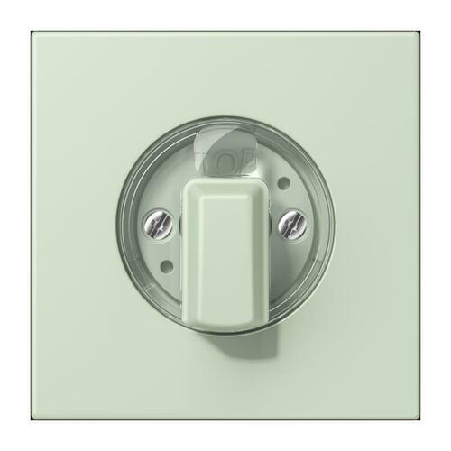 Jung Abdeckung für Drehschalter vert anglais pale LC 1941 218