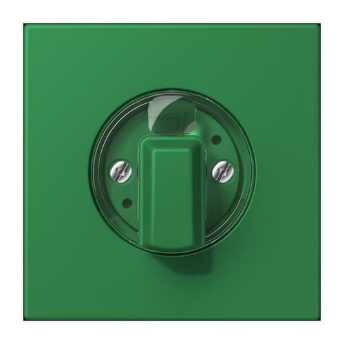 Jung Abdeckung für Drehschalter vert fonce LC 1941 219