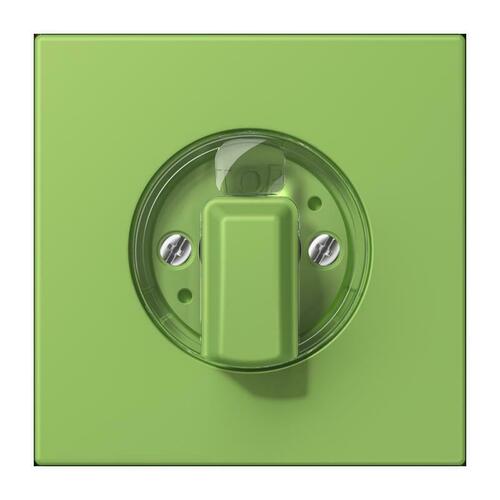 Jung Abdeckung für Drehschalter vert 31 LC 1941 220