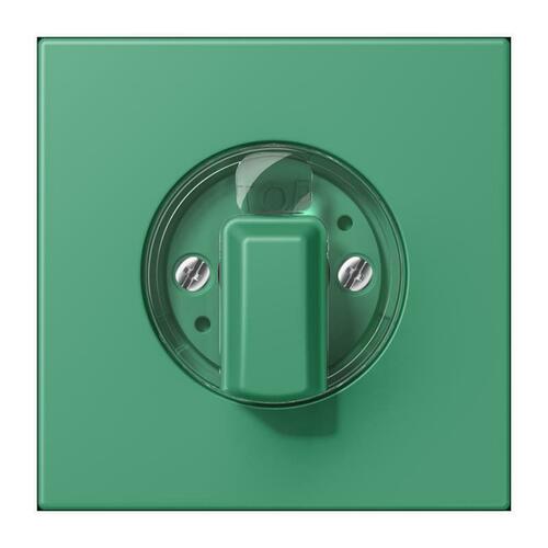 Jung Abdeckung für Drehschalter vert 59 LC 1941 250