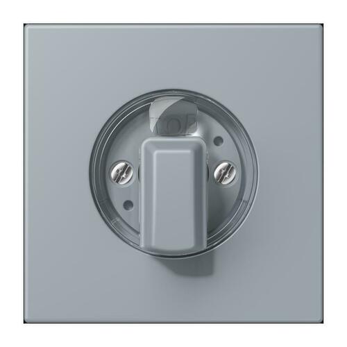 Jung Abdeckung für Drehschalter gris clair 59 LC 1941 257