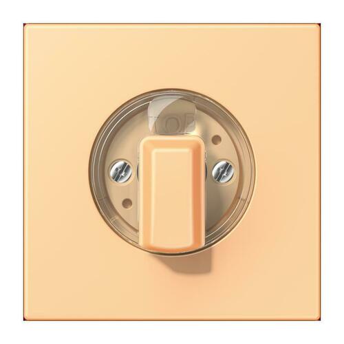 Jung Abdeckung für Drehschalter LC 1941 258