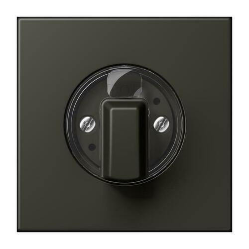 Jung Abdeckung für Drehschalter ombre naturelle 59 LC 1941 259