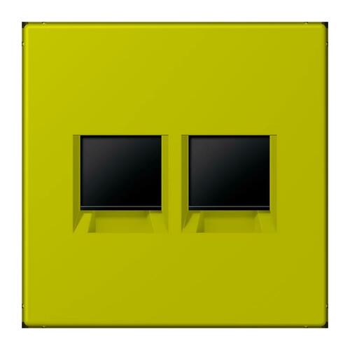 Jung Abdeckung (gerastet) LC 1969-2 WE 249