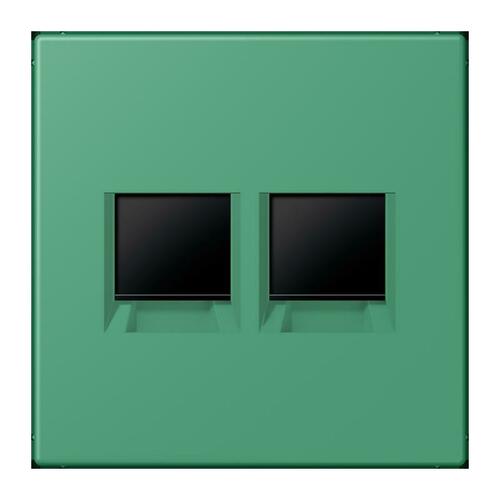 Jung Abdeckung (gerastet) vert 59 (4320G) LC 1969-2 WE 250