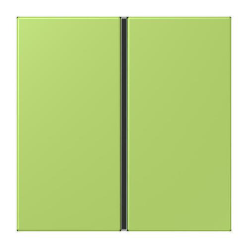 Jung Tastensatz 1-fach ch vert clair LC 401 TSA 221
