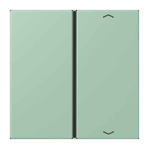 Jung Taste 1-fach ch m. Pfeilsymb. vert anglais clair LC 401 TSAP 217