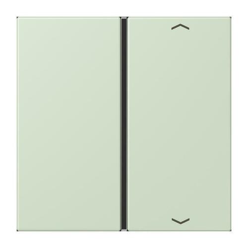 Jung Taste 1-fach ch m. Pfeilsymb. vert anglais pale LC 401 TSAP 218
