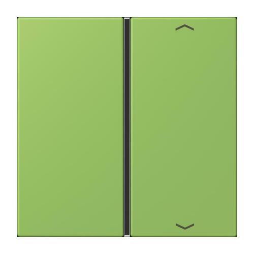 Jung Taste 1-fach ch m. Pfeilsymb. vert 31 LC 401 TSAP 220