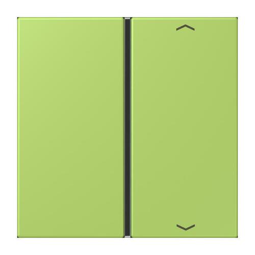 Jung Taste 1-fach ch m. Pfeilsymb. vert clair LC 401 TSAP 221