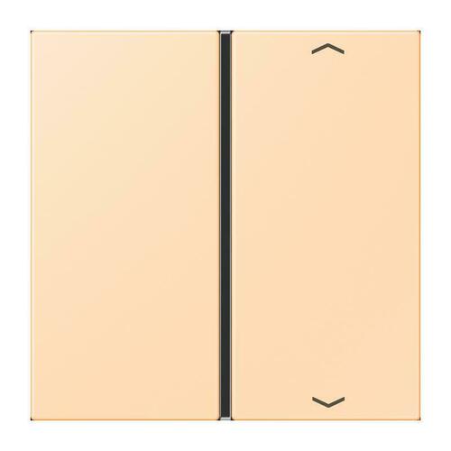 Jung Taste 1-fach ch m. Pfeilsymb. ocre LC 401 TSAP 223
