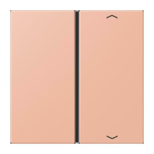Jung Taste 1-fach ch m. Pfeilsymb. rose clair LC 401 TSAP 231