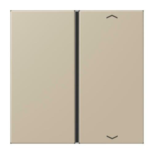 Jung Taste 1-fach ch m. Pfeilsymb. LC 401 TSAP 243