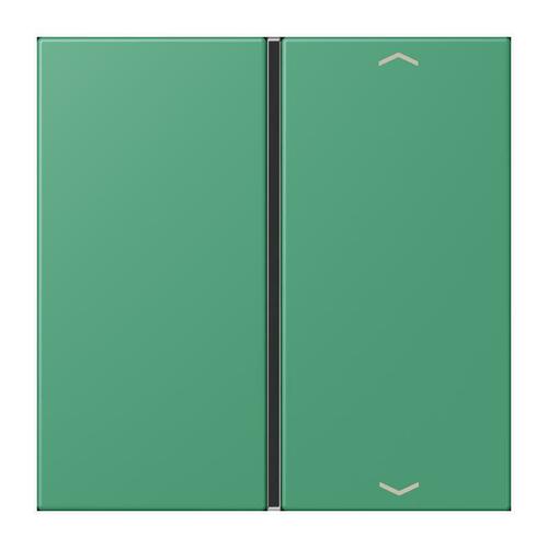 Jung Taste 1-fach ch m. Pfeilsymb. vert 59 LC 401 TSAP 250