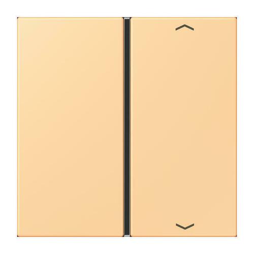 Jung Taste 1-fach ch m. Pfeilsymb. LC 401 TSAP 258