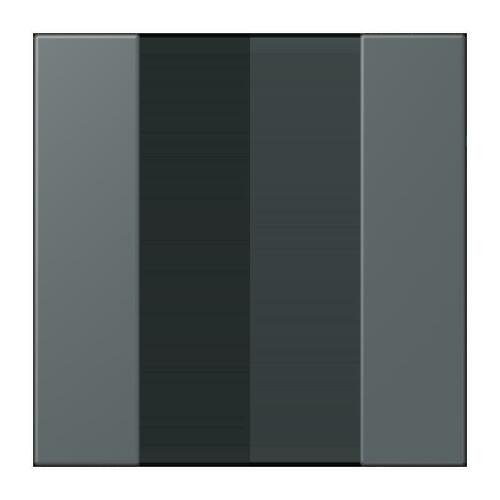 Jung Tastensatz 1-fach ch gris fonce 31 LC 501 TSA 202