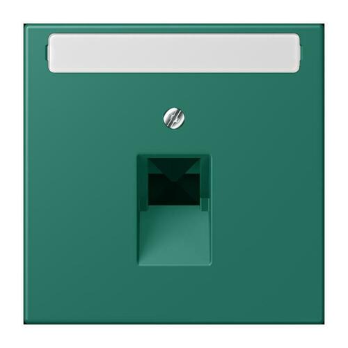 Jung Abdeckung für IAE/UAE vert anglais (32040) LC 969-1 NAUA 216