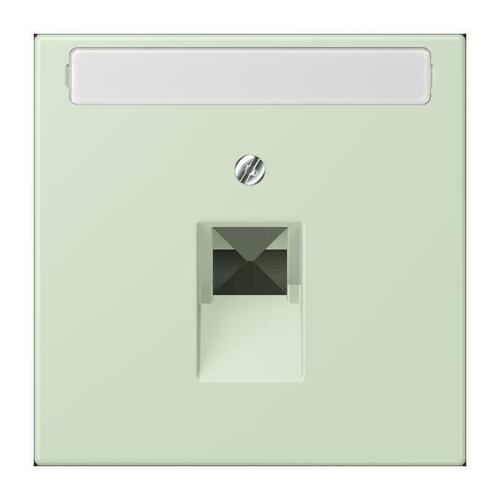 Jung Abdeckung für IAE/UAE LC 969-1 NAUA 218