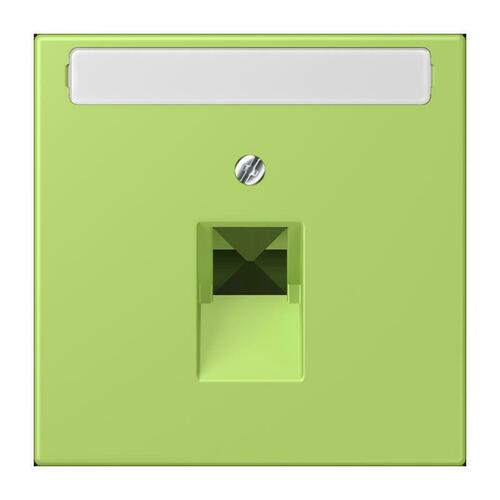 Jung Abdeckung für IAE/UAE vert clair (32052) LC 969-1 NAUA 221