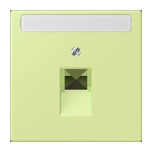 Jung Abdeckung für IAE/UAE LC 969-1 NAUA 222