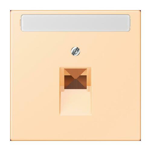 Jung Abdeckung für IAE/UAE ocre (32060) LC 969-1 NAUA 223